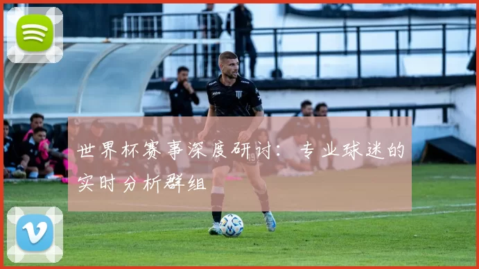 世界杯赛事深度研讨：专业球迷的实时分析群组