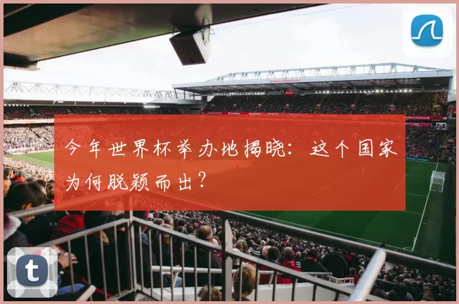 今年世界杯举办地揭晓：这个国家为何脱颖而出？