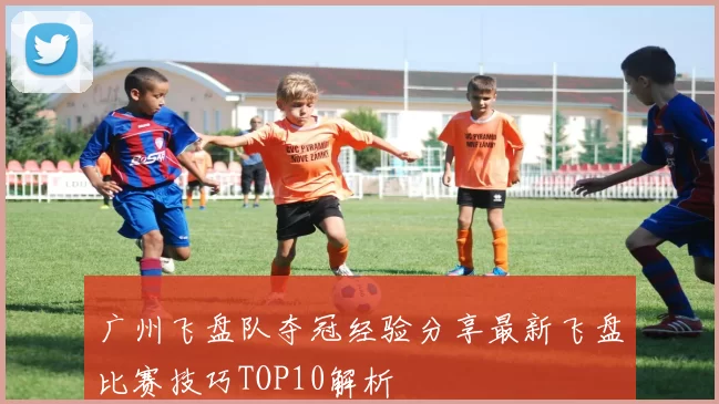 广州飞盘队夺冠经验分享最新飞盘比赛技巧TOP10解析