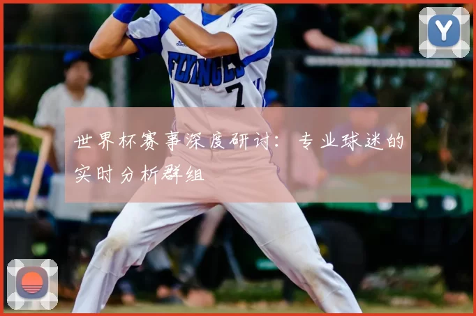 世界杯赛事深度研讨：专业球迷的实时分析群组