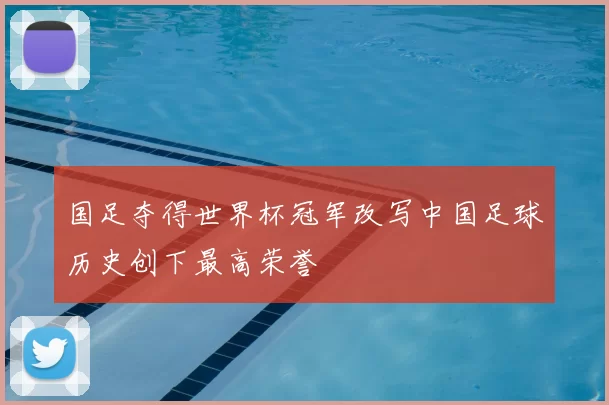 国足夺得世界杯冠军改写中国足球历史创下最高荣誉