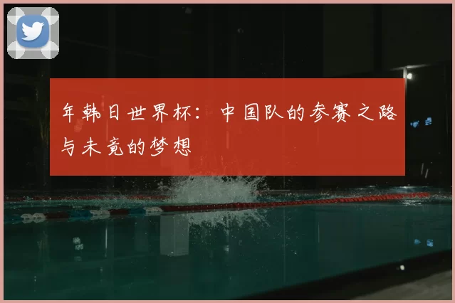 年韩日世界杯：中国队的参赛之路与未竟的梦想