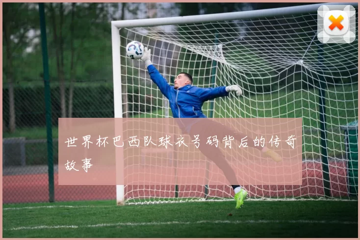 世界杯巴西队球衣号码背后的传奇故事