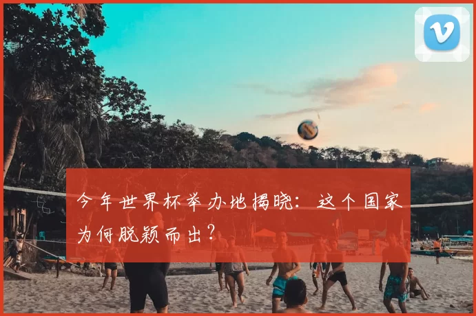 今年世界杯举办地揭晓：这个国家为何脱颖而出？