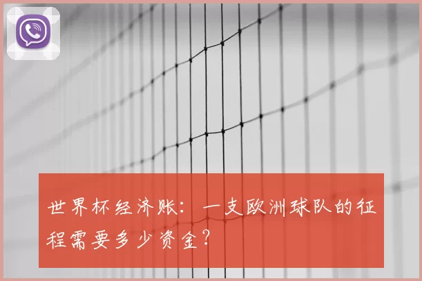 世界杯经济账:一支欧洲球队的征程需要多少资金?