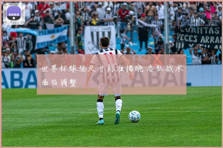 世界杯球场尺寸标准揭晓 各队战术面临调整